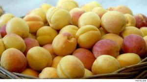 Armenian-apricot