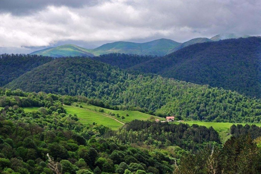 Dilijan national park