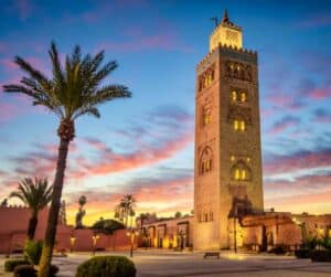 morocco, view of tower and palmr tree