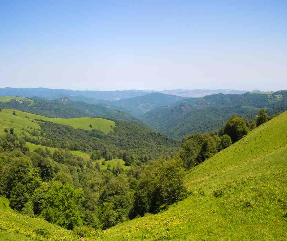Levontravel image