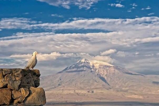 Khor Virap and Mount Ararat